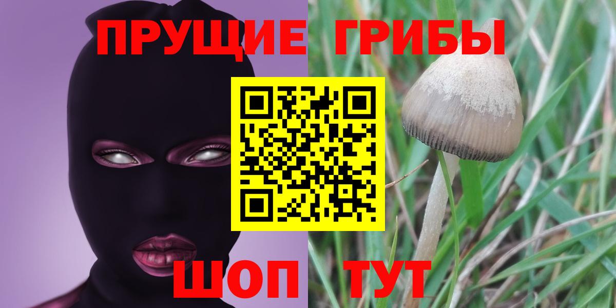 Галлюциногенные грибы MAGIC MUSHROOMS  Вход с VPN  Гусиноозёрск  Псилоцибиновые грибы Psilocybine cubensis 