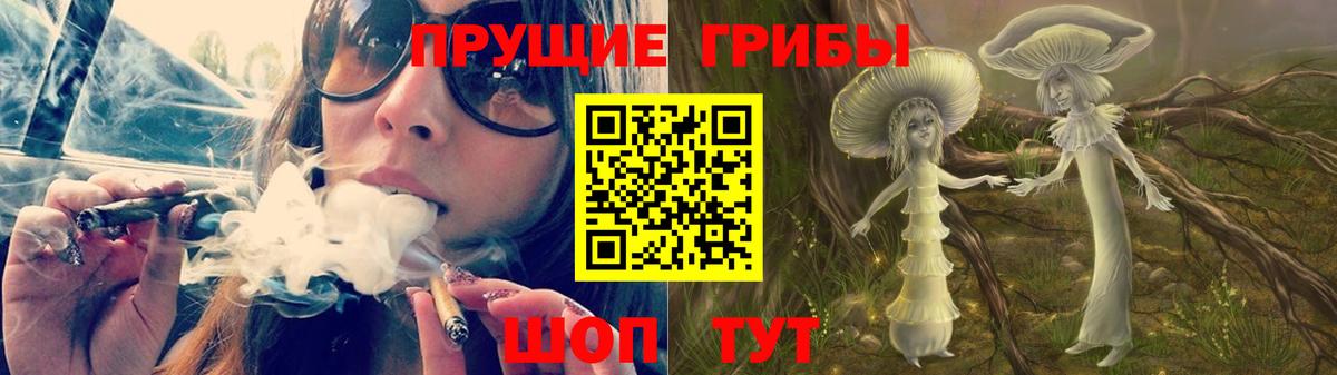Галлюциногенные грибы MAGIC MUSHROOMS Гусиноозёрск